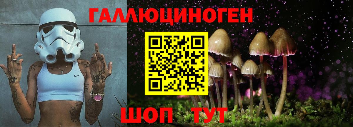 Крымск  Галлюциногенные грибы Psilocybine cubensis  Вход с VPN 